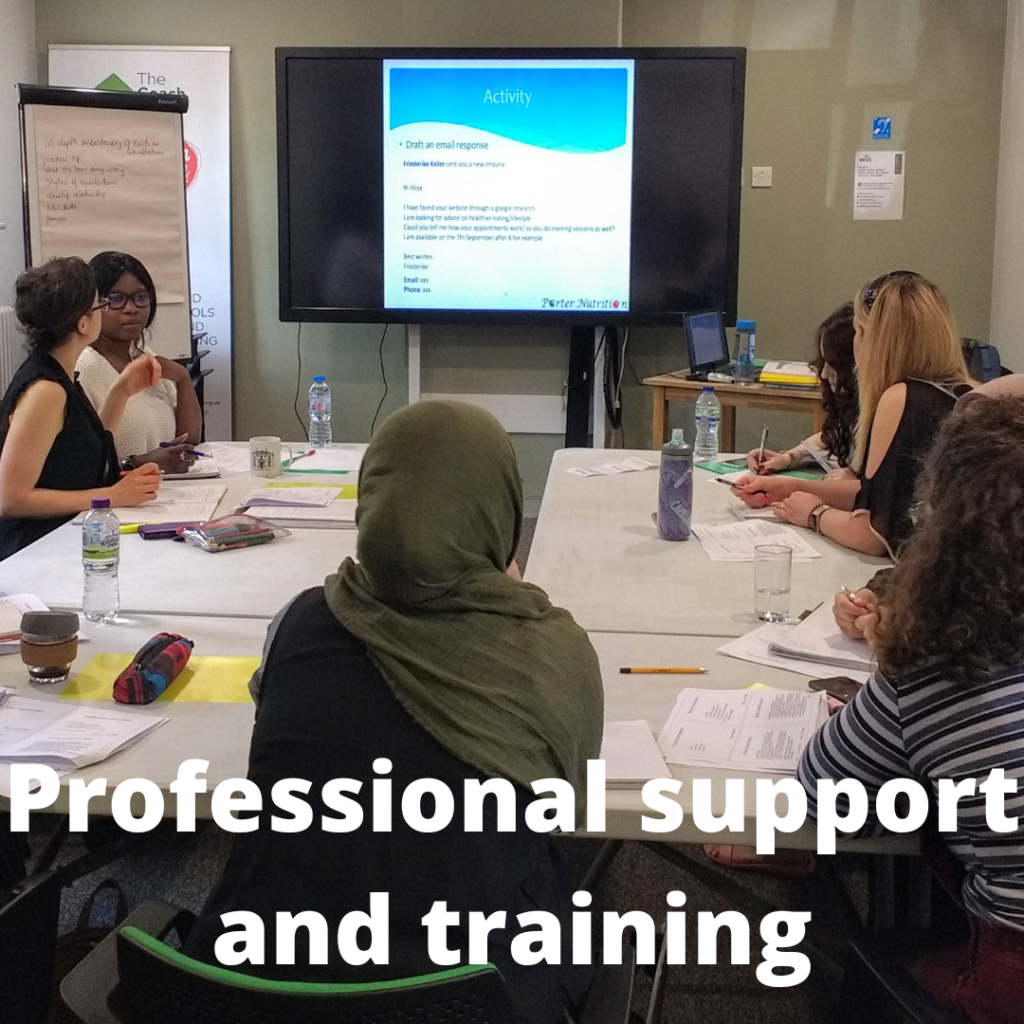 Picture of a training session for nutritionists with the words "Professional support and training" written over the top